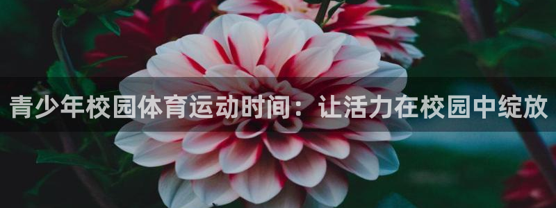 哈哈体育