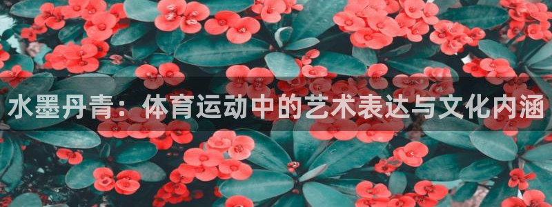 哈哈体育十年