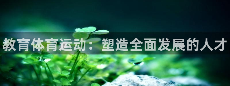 哈哈体育十年