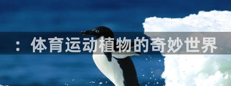 哈哈体育下载