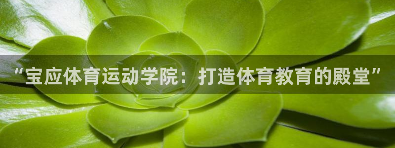 哈哈体育：“宝应体育运动学院：打造体育教育的殿堂”