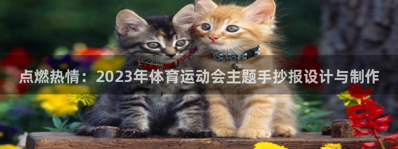 哈哈体育：点燃热情：2023年体育运动会主题手抄报设计与制作