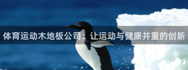 哈哈体育十年