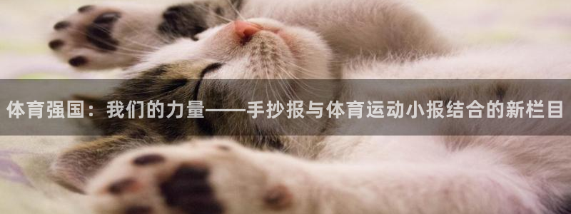 哈哈体育