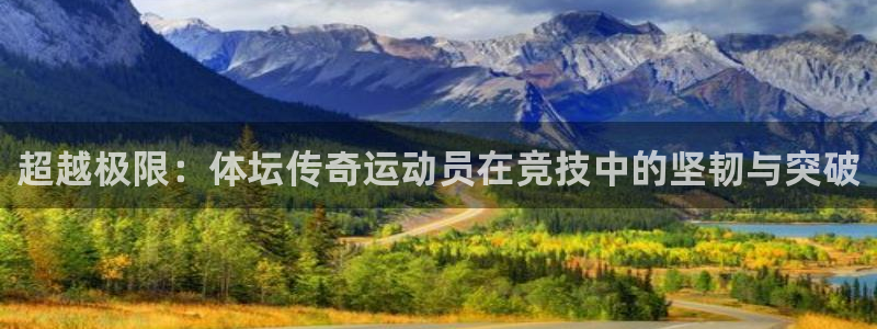 哈哈体育十年