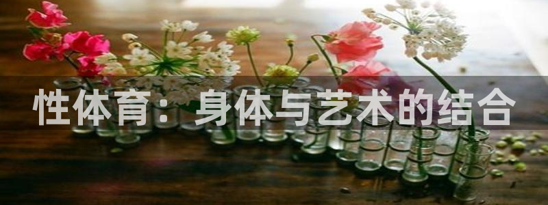 哈哈体育十年