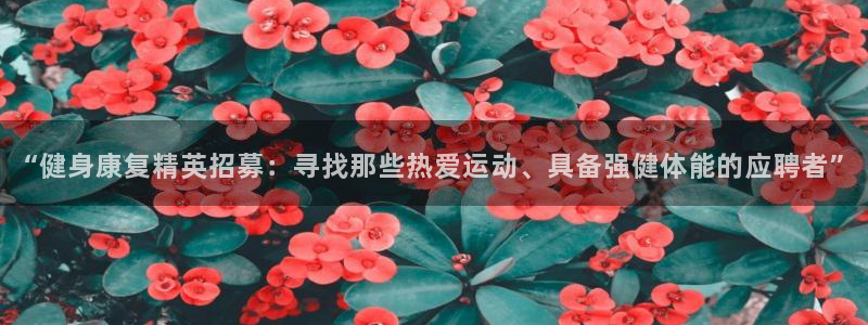 哈哈体育十年