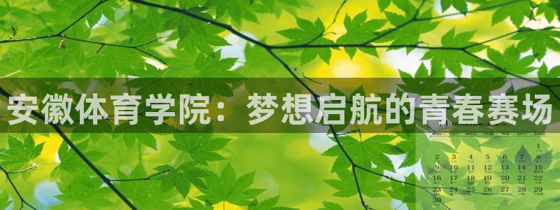 哈哈体育下载：安徽体育学院：梦想启航的青春赛场