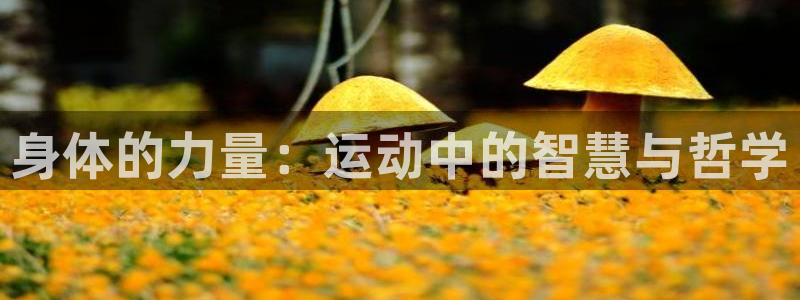 哈哈体育：身体的力量：运动中的智慧与哲学