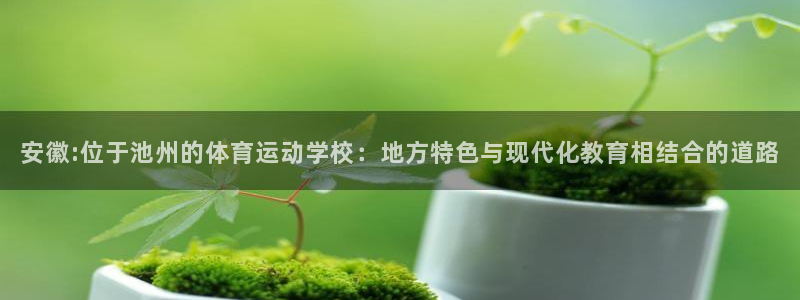 哈哈体育下载：安徽:位于池州的体育运动学校：地方特色与现代化教育相结合的道路