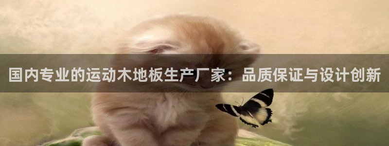 哈哈体育十年：国内专业的运动木地板生产厂家：品质保证与设计创新